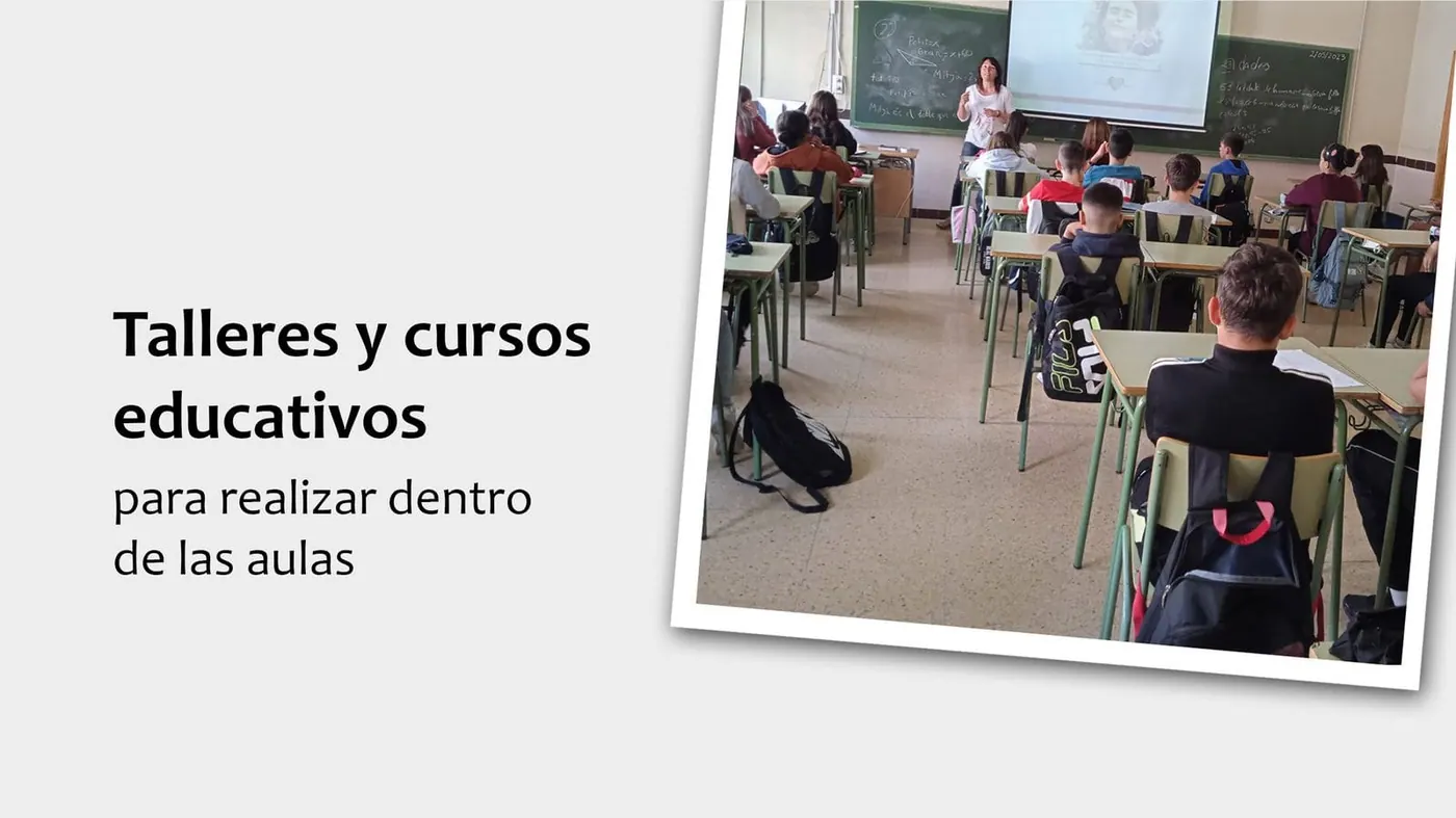 Talleres y cursos educativos para realizar dentro de las aulas